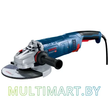 Угловая шлифмашина Bosch GWS 24-230 JZ Professional 06018C3300